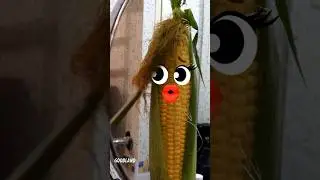 Goodland | The corn was trimmed 🌽 