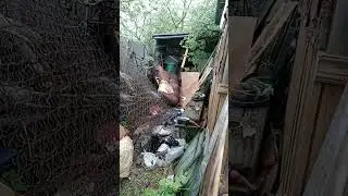 Моё хозяйство