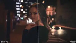 Color Vintage Fashion Presets (Premiere Pro)