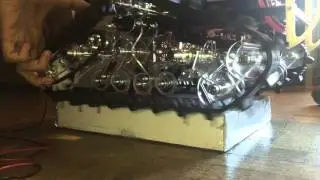 Rude first running of Track