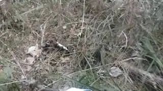 22 сентября 2018 г.(2)
