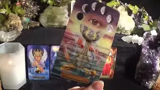 ♑️Capricorn | Urgent Message From Spirit | Angel Number #427