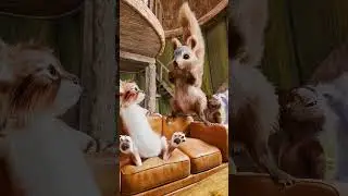 Guess my fart? 🐿 I won 💪 