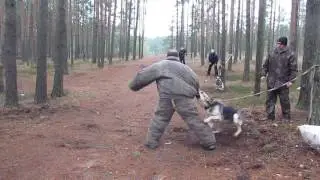 Хельхаус Аризона лобовая с мешком