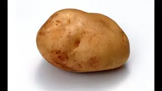 Potato
