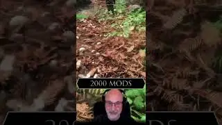 Skyrim con 2000 mods #theelderscrolls #skyrim #novus #mods #bethesda