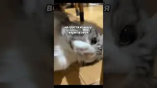 комару верит🥰😘❤️ 