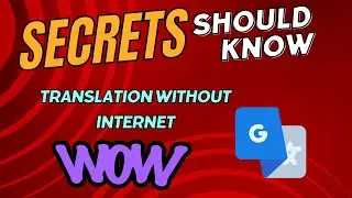 How to use  Google Translator without Internet