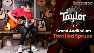 Sound Check Demo Video: Taylor Custom Shop Grand Auditorium Torrified Spruce & Quilt Maple