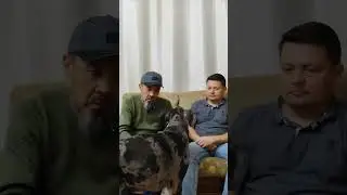 Dog behavior correction. +77075299363 WhatsApp. Murat.