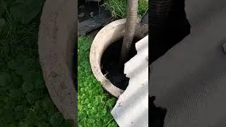 качаем