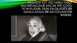 DUYU Organları ile ilgili ilginç bilgiler