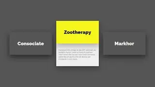 CSS Card Hover Effects | HTML & CSS | Full Tutorial For Beginners