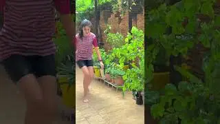 finally Baarish aagi guys 😭😭😭 #ytshorts #dance #haryanviculture #trending #vishakhanandal