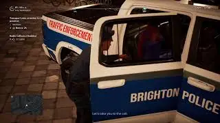 Real police similator!