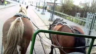 borkum kutscher