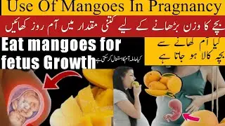 Can I Eat mangoes in pragnancy حاملہ ام کھا سکتی ہے اور کتنے ام کھا سکتی Health Benefits of mangoes