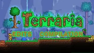 Terraria Edit Compilation 🤩... Hey you 🫵... Sub and Like 🔥 