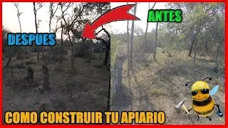 COMO UBICAR Y CONSTRUIR UN APIARIO | FACIL RAPIDO Y ECONOMICO
