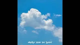 WHERE HAVE YOU BEEN