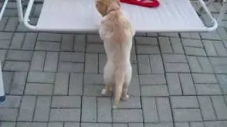 Tessa - Pushing Swing