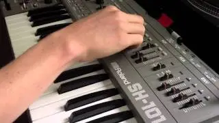 Sequencing the SH-101