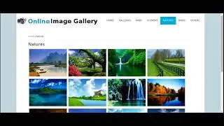 PHP Project on Online Image Gallery with MySQL Database.