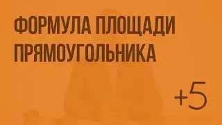 Формула площади прямоугольника (Слупко М.В.). Видеоурок по математике 5 класс
