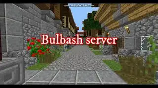 Bulbash server