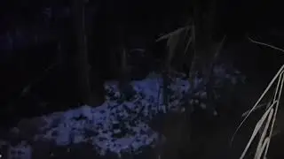 Бахов.В.  плачь матери и вчерашнее глумление 