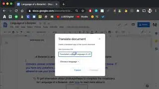 Docs: Translate Document