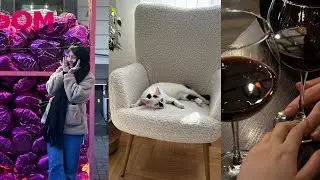 Vlog: ищу, куда бы ещё потратиться..впечатлилась новым фильмом сильно🇯🇲