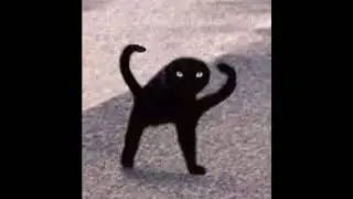 A two armed cats boss theme