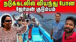 இலங்கை கடலில் சிக்கிய பெண் | Ceylon Dolphin Watching | Jaffna Suthan