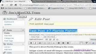 Creating WordPress Blog 