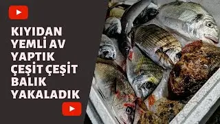 KIYIDAN YEMLİ AV YAPTIK ÇEŞİT ÇEŞİT BALIK YAKALADIK. Daldık Yem Çıkartık Tuttuk Yedik!!!