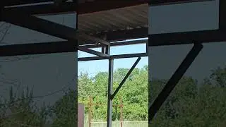 Голуби строят гнездо !!!
