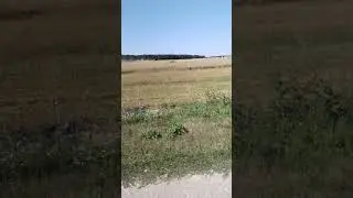 дороги, дороги...