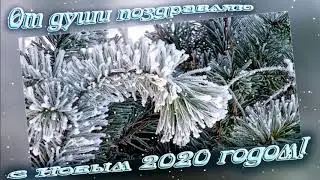 С Новым 2020м годом!