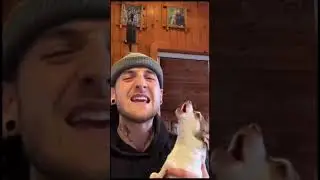Funny Dog Videos  -  Funniest Dog Video  -  Funny Animals Compilation #1
