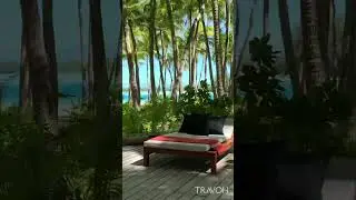 Tropical Private Island Paradise 🏝 Bora Bora, French Polynesia 🇵🇫 | 4K Travel #shorts