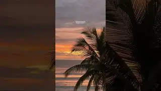 🌺🦜🦋🪩🕺🏼