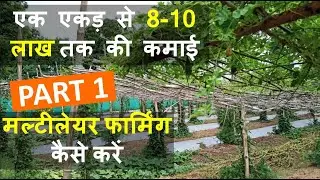 मल्टीलेयर फार्मिंग कैसे करे | How to do Multilayer Farming | In India | Part 1 | Creative Kisan