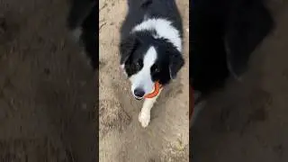 Баста ищет потерянную вещь.