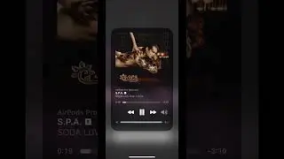 S.P. A SODA LUV feat. L’One