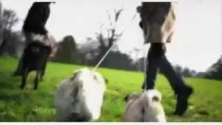 Tiefschwarz