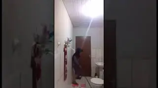 Fil sichqondan qo'rqadi
