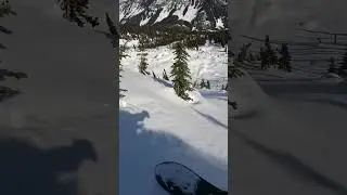 POV: You’re riding powder with the Burton Team 