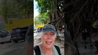 Brazylia 🇧🇷 Olinda, pierwsza stolica stanu Pernambuco 