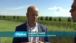 We visit the award-winning Yarra Valley wine tasting tour